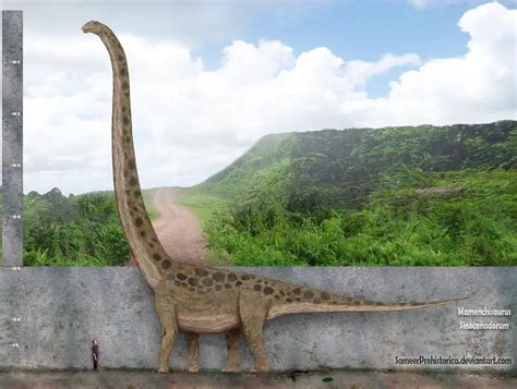 Mamenchisaurus | Dinosaurs - Pictures and Facts