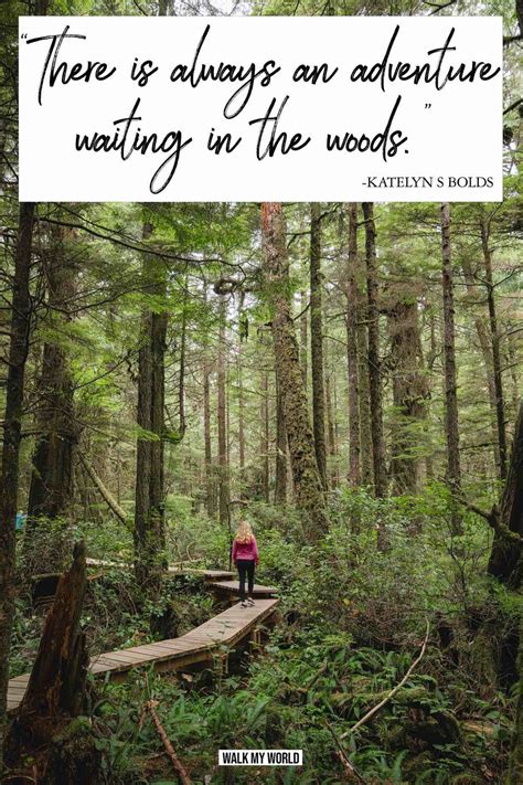 Walk In The Woods Quotes - acclaimedmoms