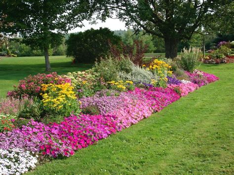 DISE O JARDINES PEQUE OS | Flower bed designs, Garden flower beds, Flower garden layouts