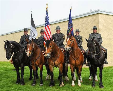 Skook News: Pennsylvania State Police Looking for Equine Donations