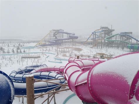 I live near a Waterpark and today is a Snow Day. Thought this was ...