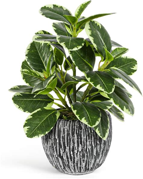 Amazon.com - Artificial Plants Indoor Outdoor, Faux Variegated Oak Leaf Plant, Fake Potted ...