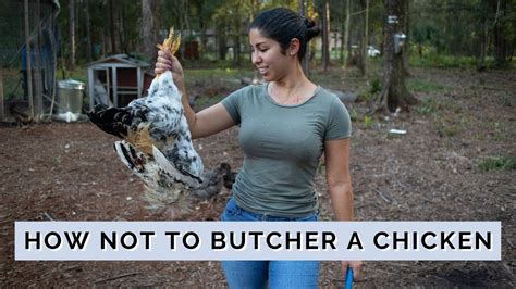 10 Chicken Butchering Tips for Beginners - YouTube