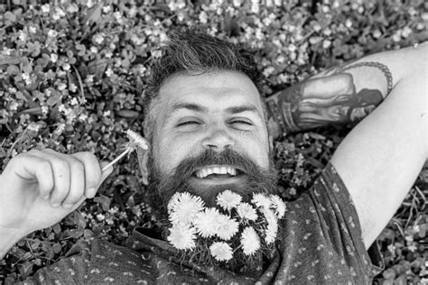 Relaxation Concept. Guy with Dandelions in Beard Relaxing, Top View Stock Image - Image of ...
