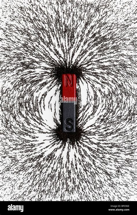 Magnet with iron filings showing lines of magnetic field converging ...