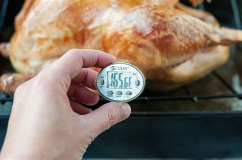 Here's Where to Put a Thermometer In a Turkey