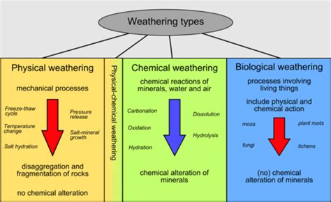 Soil formation • Learning Content • Department of Earth Sciences