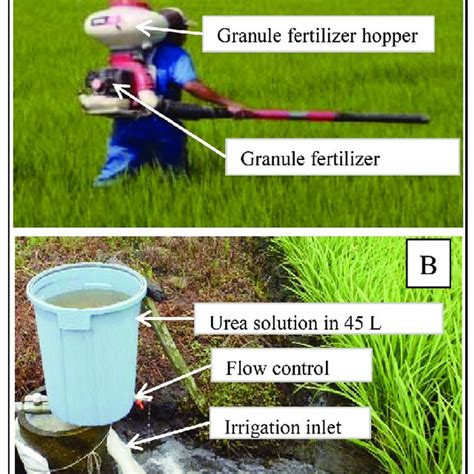 The effects of urea fertilizer application method and field location on ...