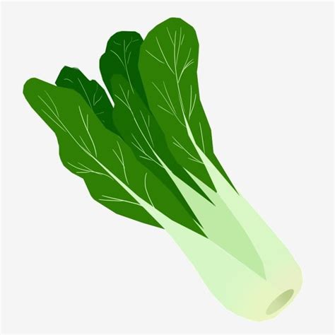 รูปGreen Greens Cartoon Illustration Vegetable Illustration Vegetables PNG , ผักใบเขียว ...