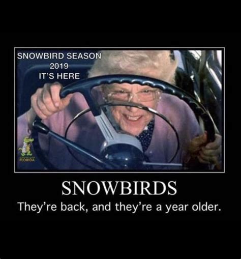 Snowbirds | Old age humor, Parenting jokes, Twisted humor