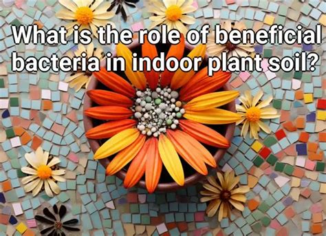 What is the role of beneficial bacteria in indoor plant soil? – Gardening.Gov.Capital