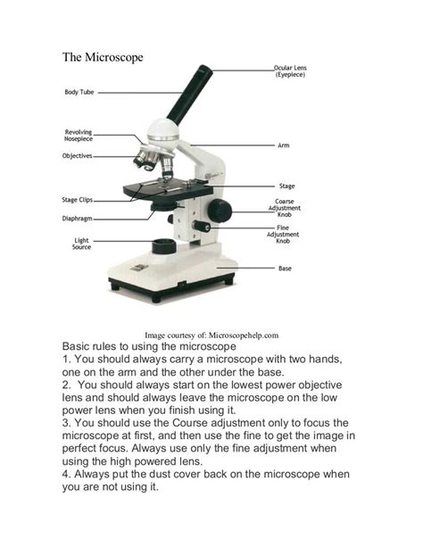 Microscope Diagram Worksheet