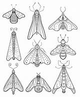 Cinco De Mayo Activities  Insect coloring Pages Bug sketch template