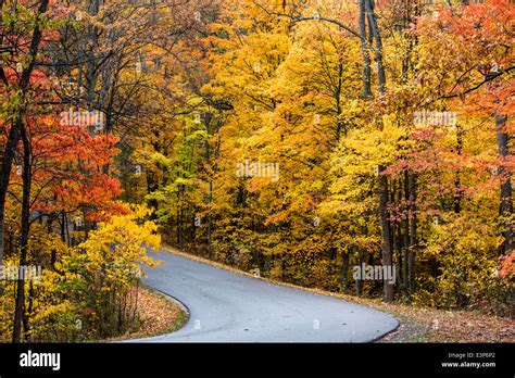 Autumn color at Brown County State Park near Nashville, Indiana, USA Stock Photo - Alamy