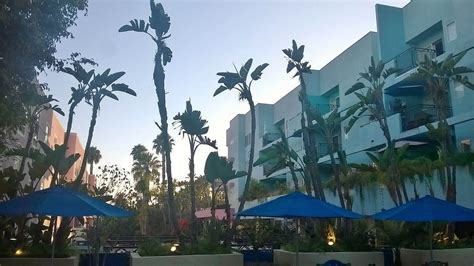 Ramada Plaza by Wyndham West Hollywood Hotel & Suites Pool: Pictures & Reviews - Tripadvisor