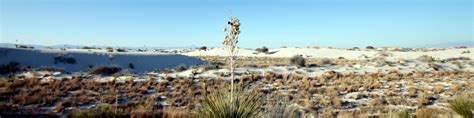 White Sands National Monument - Wikitravel