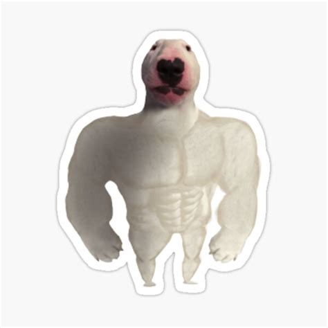 "Massive Buff Walter" Sticker for Sale by RarePNGs | Redbubble