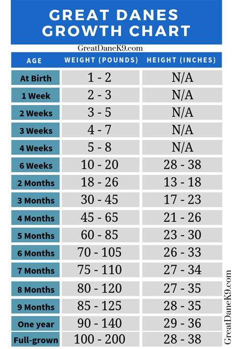 Great Dane Growth Chart