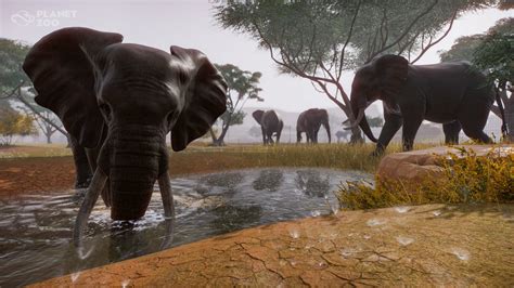 Planet Zoo PC Review - GameSpace.com