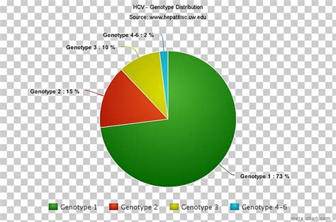 Pie Chart Religion In Brazil Information PNG, Clipart, Brand, Chart ...