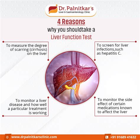 4 Reasons why you should take a Liver Function Test - Dr. Sachin Palnitkar