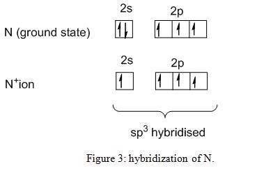 Answered: (a) Which geometry and central atom… | bartleby