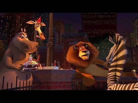 Marty the zebra (Birthday) | Madagascar 2005 - YouTube