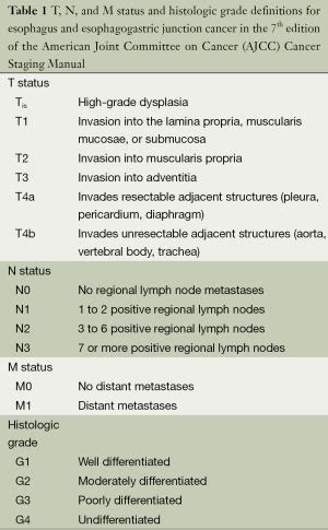 Esophageal cancer: staging system and guidelines for staging and treatment - Berry - Journal of ...