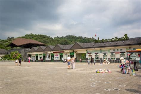 Taipei Zoo | Walking Through Wonderland