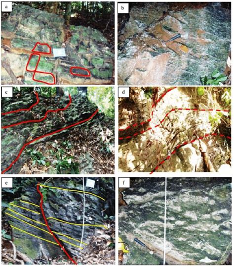 Field photographs of ultramafic rocks showing: (a) polygonal structures ...