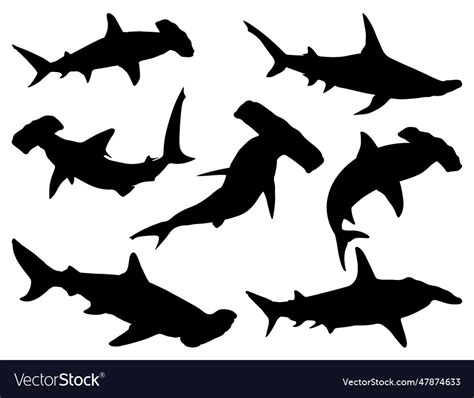 Hammerhead shark silhouette Royalty Free Vector Image