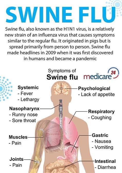 Swine flu symptoms | Carletonville Herald