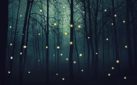 🔥 [70+] Fireflies Wallpapers | WallpaperSafari