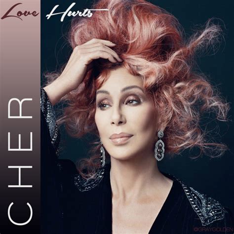 Stream Cher - Love Hurts by Gray Gold | Listen online for free on ...