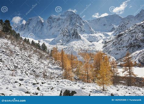 Altai mountains stock photo. Image of frost, mountains - 142929300