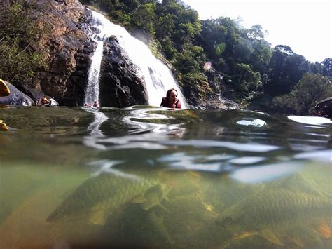 Dudhsagar waterfalls in Goa by tripraja.com : r/Waterfalls