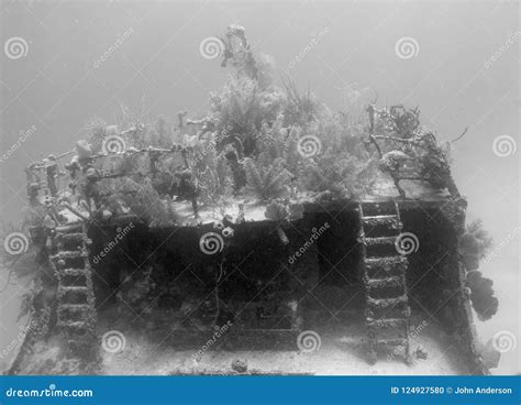 Caribbean coral reef stock photo. Image of ocean, america - 124927580