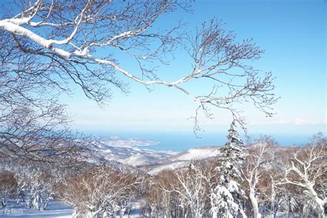 Sapporo Kokusai Ski Resort Lift Ticket (6hours) & Round Trip Bus - Klook