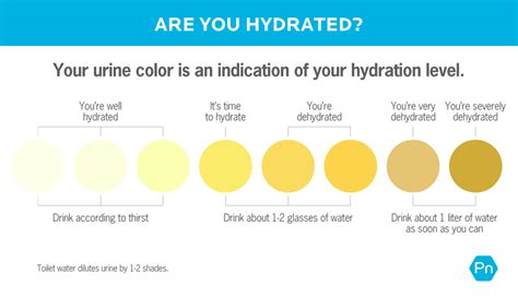 How Much Water Should You Drink? Here's What the Science Says.