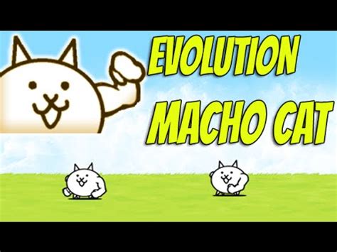 Battle Cats | MACHO CAT !! Evolution Time !! (Episode #5) - YouTube