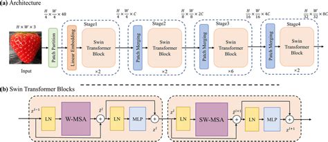 a Swin Transformer architecture; b Swin Transformer blocks | Download ...