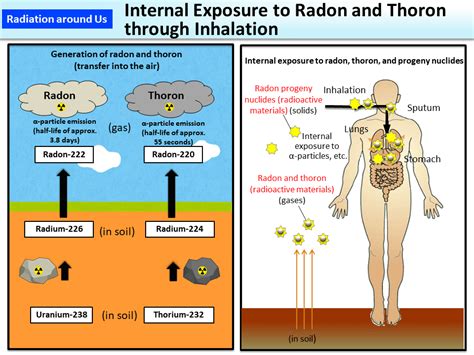 Internal Exposure to Radon and Thoron through Inhalation [MOE]