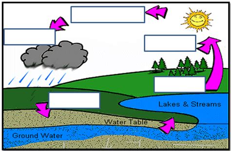 Water Cycle With Labels