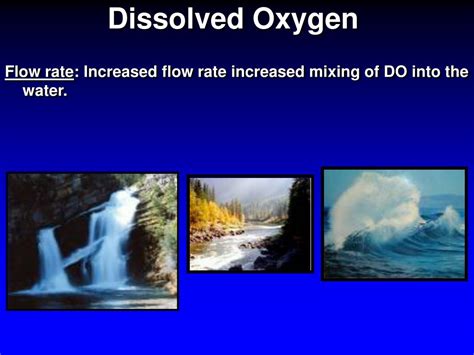 PPT - Dissolved Oxygen PowerPoint Presentation, free download - ID:6696416