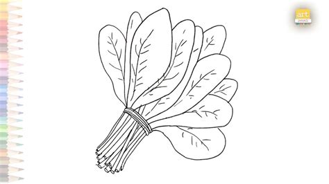Spinach Coloring Pages | How to draw Spinach drawing step by step |Vegetable plant drawing ...