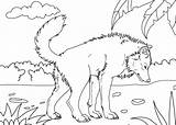 Wolf For Kids coloring Page  Download Print Or Color Online Free sketch template