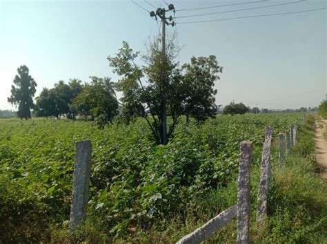 Agricultural Land 4840 Sq. Yards for Sale in Shamirpet, Hyderabad (REI1126945)