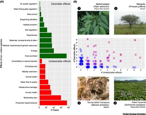 Valuing the contributions of non-native species to people and nature: Trends in Ecology & Evolution