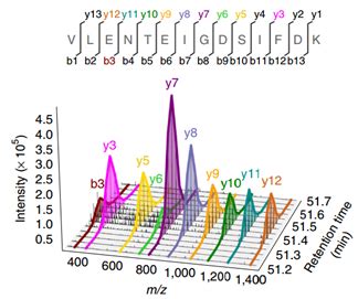 Yeast Resource Center | Detection and Quantitation of Proteins by Mass ...