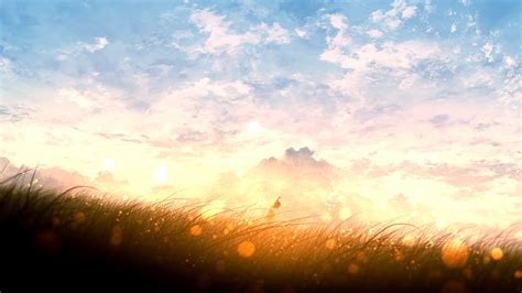 4K free download | Anime landscape, sunset, bokeh, field, clouds ...